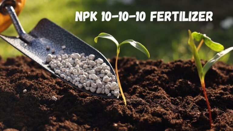 10-10-10 Fertilizer