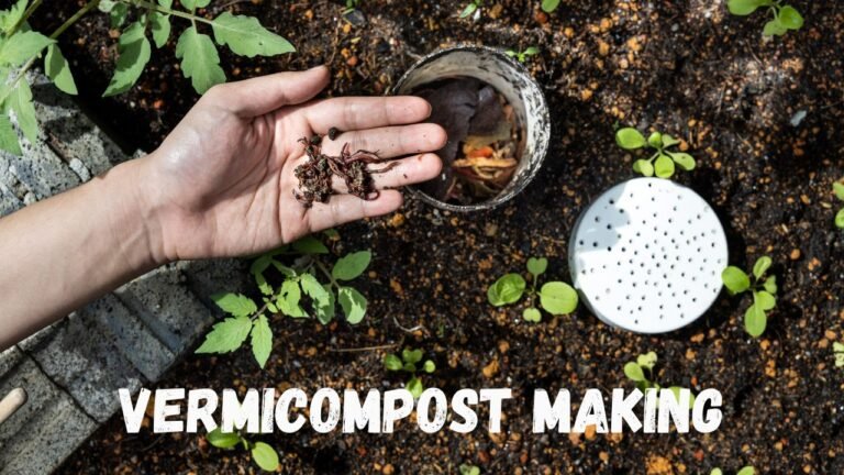 Learn How to make worm compost