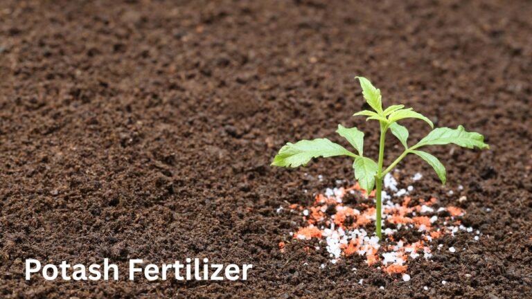 Potash Fertilizer