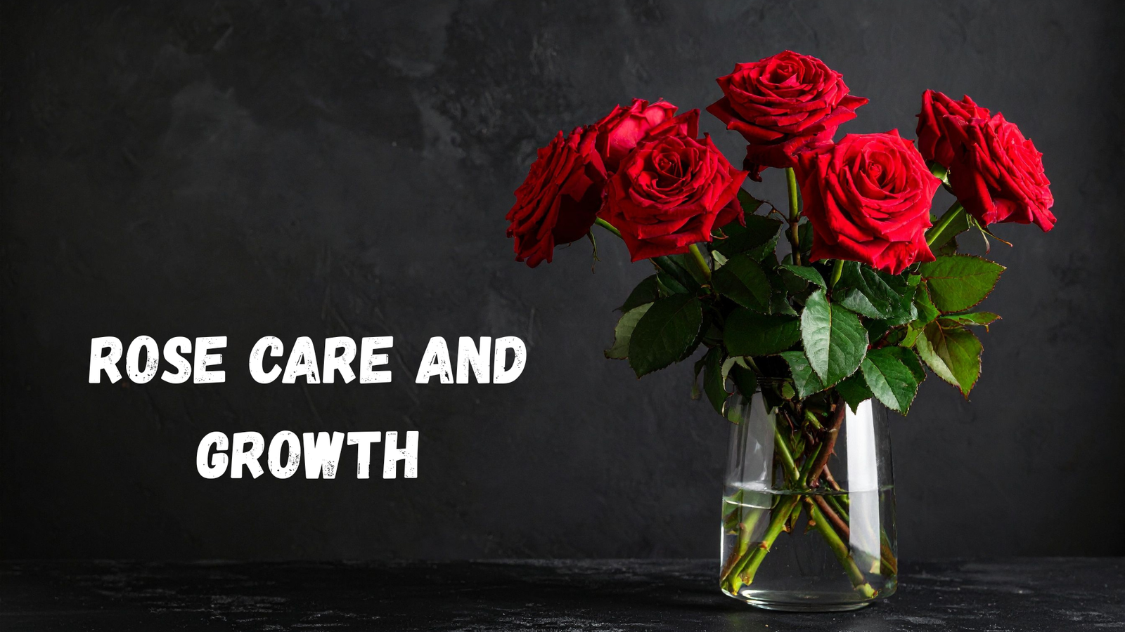 Rose Care