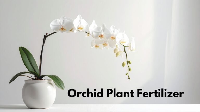 Orchid Fertilizer