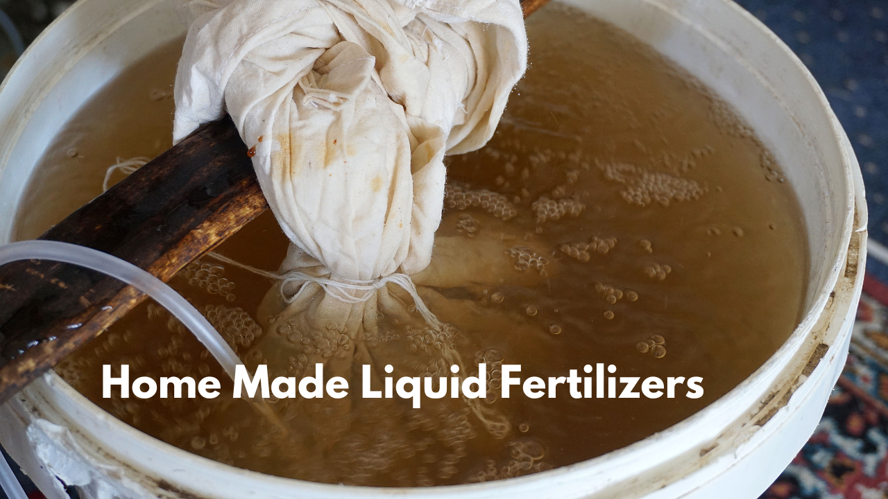 How to make Liquid Fertilizers?