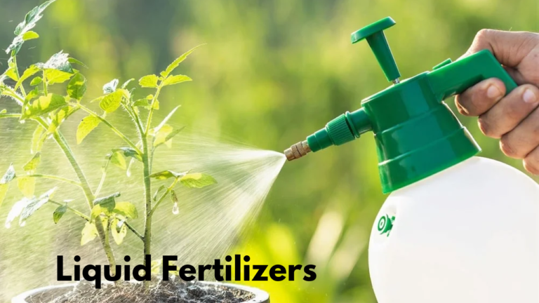 Liquid Fertilizers